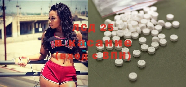 соль ск Ельня