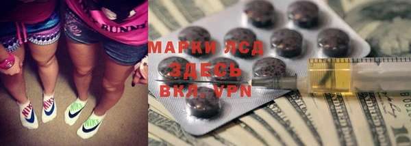 соль ск Ельня