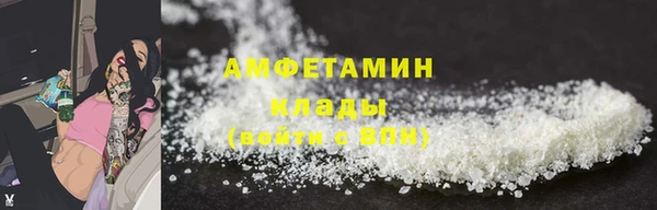 соль ск Ельня