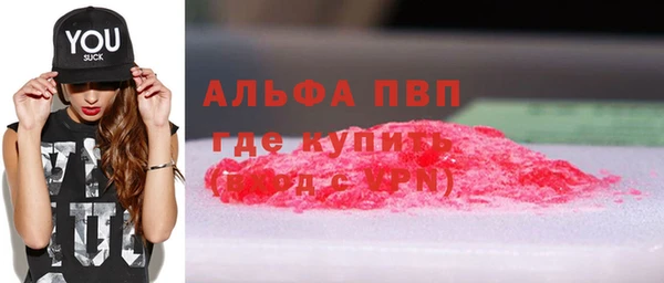 соль ск Ельня