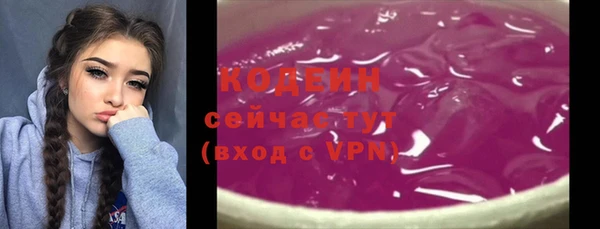 стаф Елизово