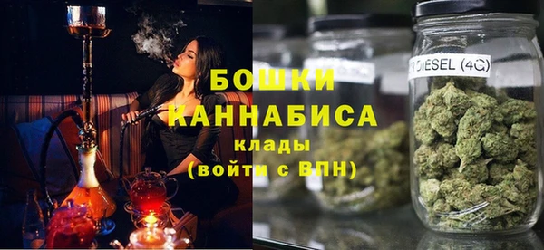 соль ск Ельня