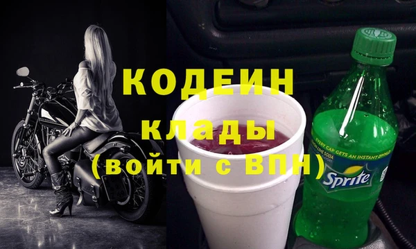 стаф Елизово