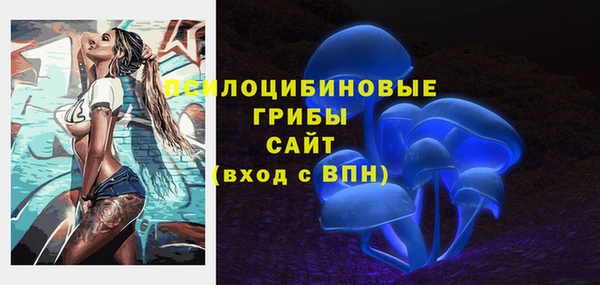 соль ск Ельня