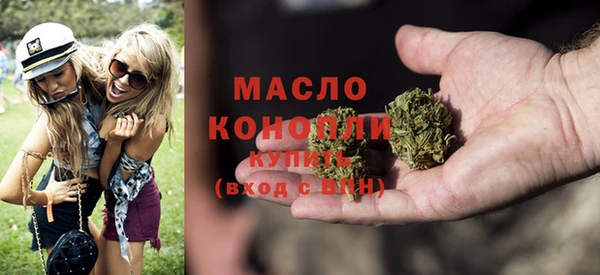 соль ск Ельня