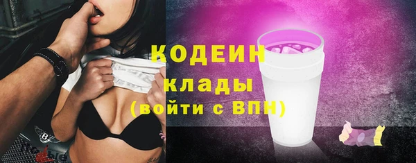 соль ск Ельня