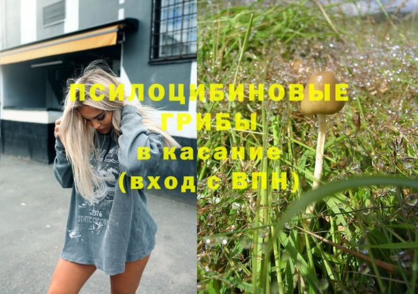 стаф Елизово