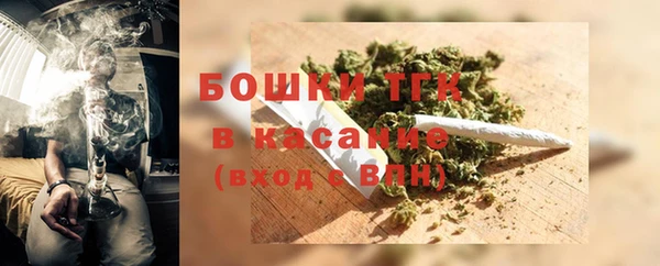стаф Елизово