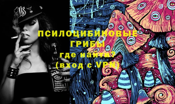 соль ск Ельня