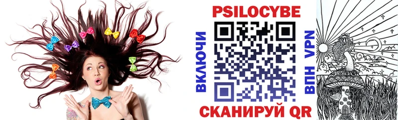 Купить закладки  Хвалынск  Псилоцибиновые грибы Cubensis 